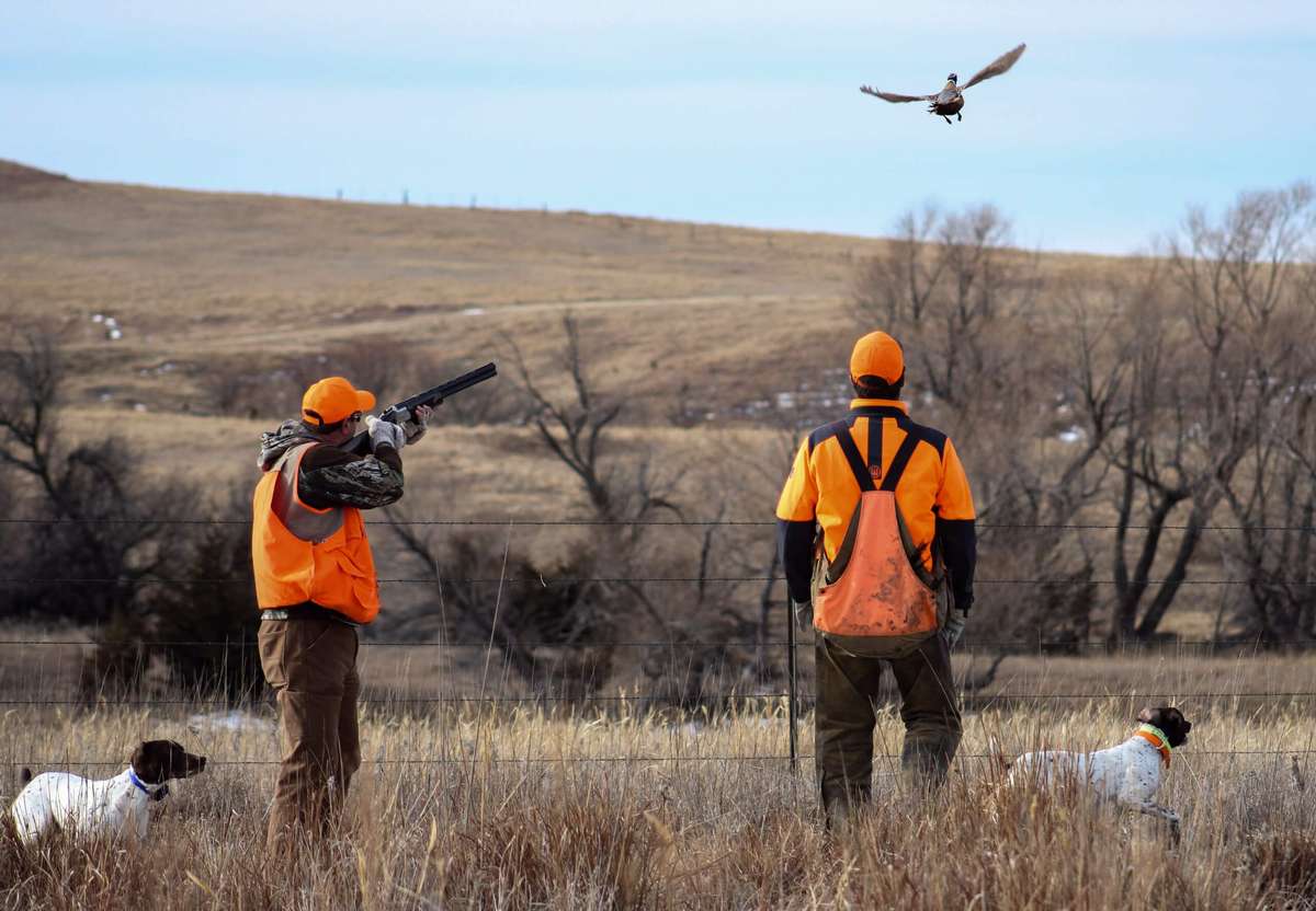 Full Service Hunting Package Guided Pheasant Hunting